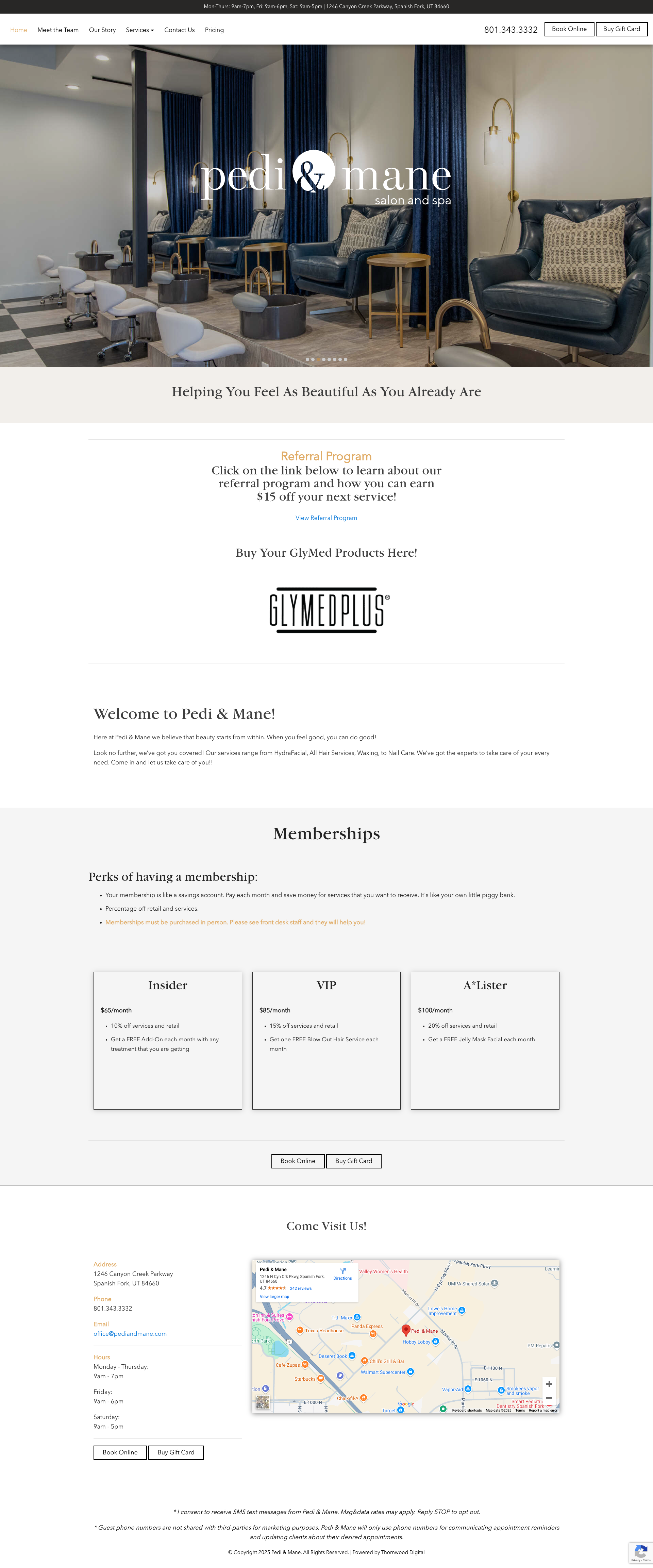 How the website looked before